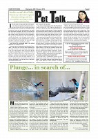 page-006
