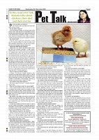 Page-008