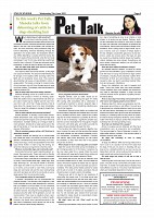 Page-008