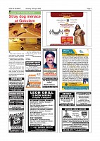 SOM-page-003