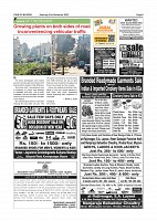 SOM-page-005