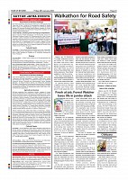 SOM-page-010