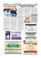 page-0003