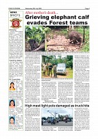 Daily News July 29_page-0004
