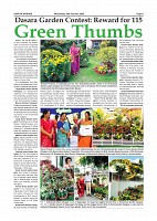 Daily PDF SOM Oct 28_page-0005