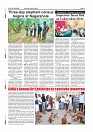 MAY 24-page-010
