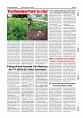 JUNE 15-page-009