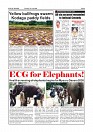 Daily News July 7_page-0004