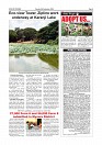 Daily PDF Sept.8_page-0005