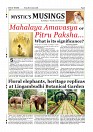 Daily PDF SOM Oct.9_page-0008