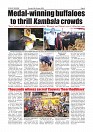 Daily PDF SOM Oct-18_page-0008