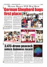 Daily PDF SOM Oct-19_page-0014