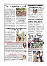 Daily PDF SOM Oct 30_page-0009